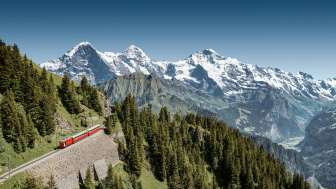 Schynige Platte Bahn