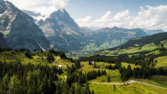 Die Natur als vergängliche Ressource Die Natur als vergängliche Ressource