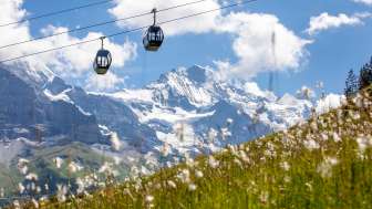 Gondelbahn Grindelwald-Männlichen Gondelbahn Grindelwald-Männlichen